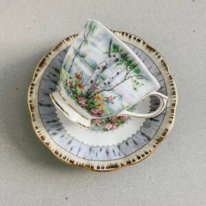 1930s Vintage Royal Albert Mid-Century Silver Birch Teacup and Saucer Set